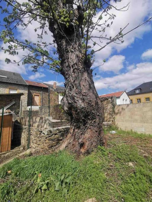 La Cascade Verte /Appartement /Jardin /Parking Braux  Exteriör bild